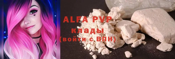 амф Новодвинск