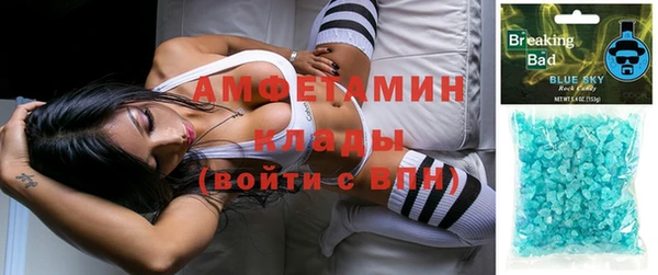 амф Новодвинск