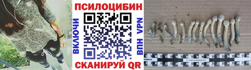 Псилоцибиновые грибы мухоморы  дарнет шоп  Краснотурьинск 