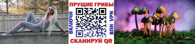 Псилоцибиновые грибы Cubensis Краснотурьинск
