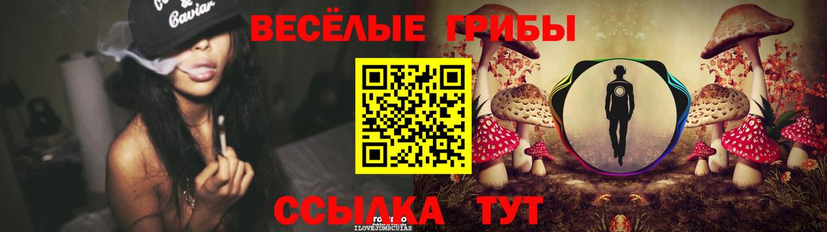 Галлюциногенные грибы Magic Shrooms  Краснотурьинск 